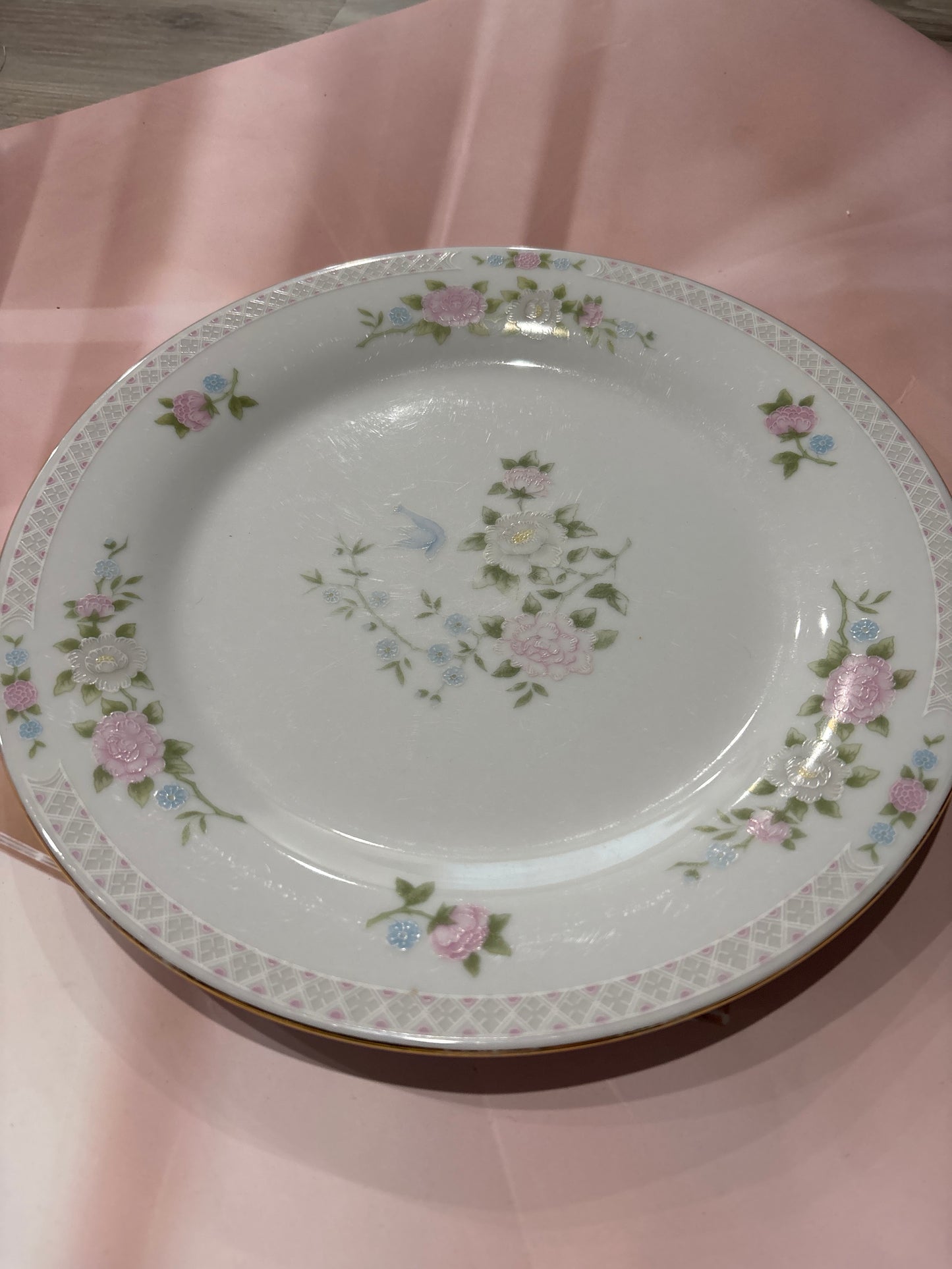 Dinner plate