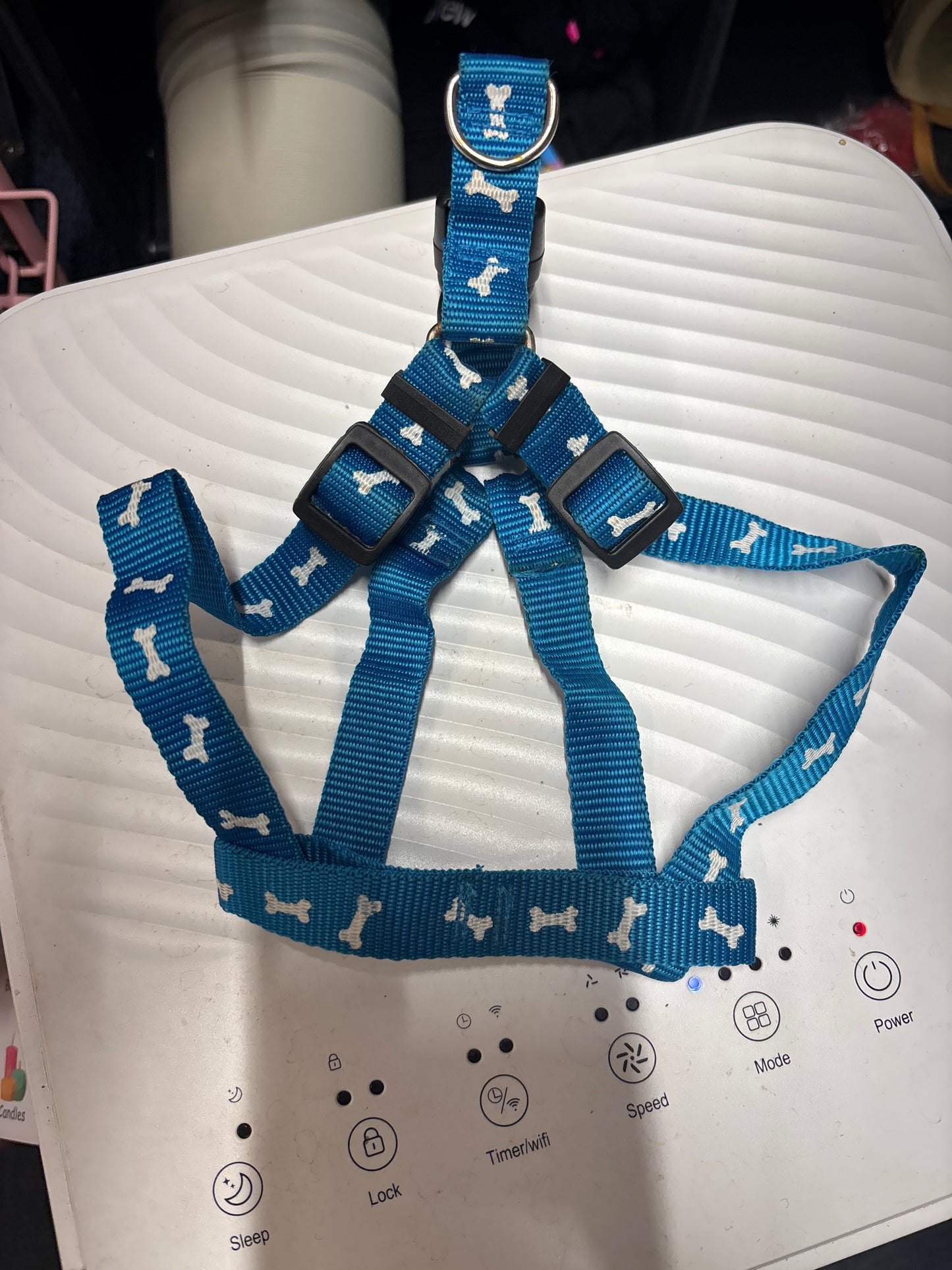 Small dog collar