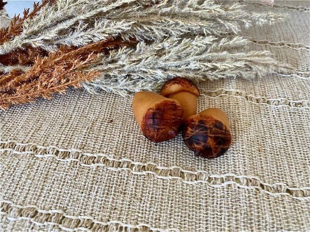 Sugar and Spice Custom Creations - Autumn Acorn Wax Melts