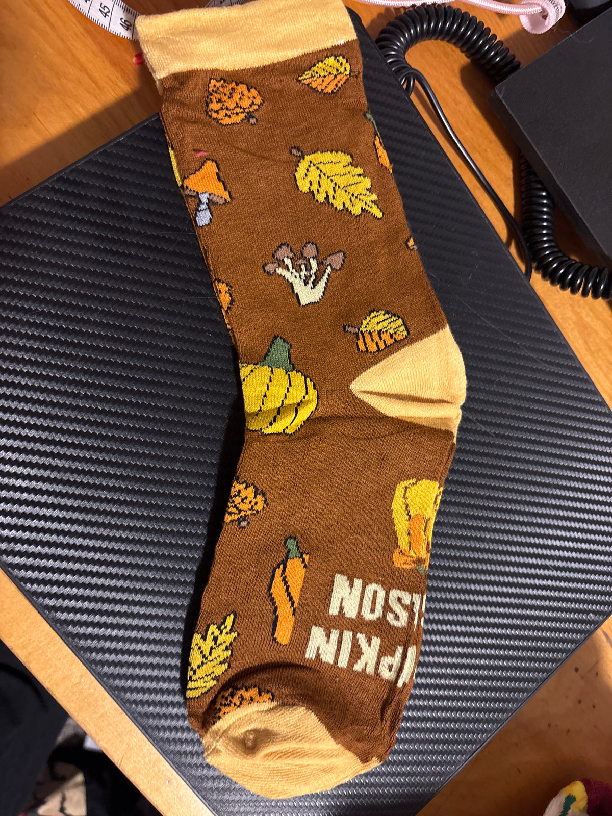 Pumpkin season socks