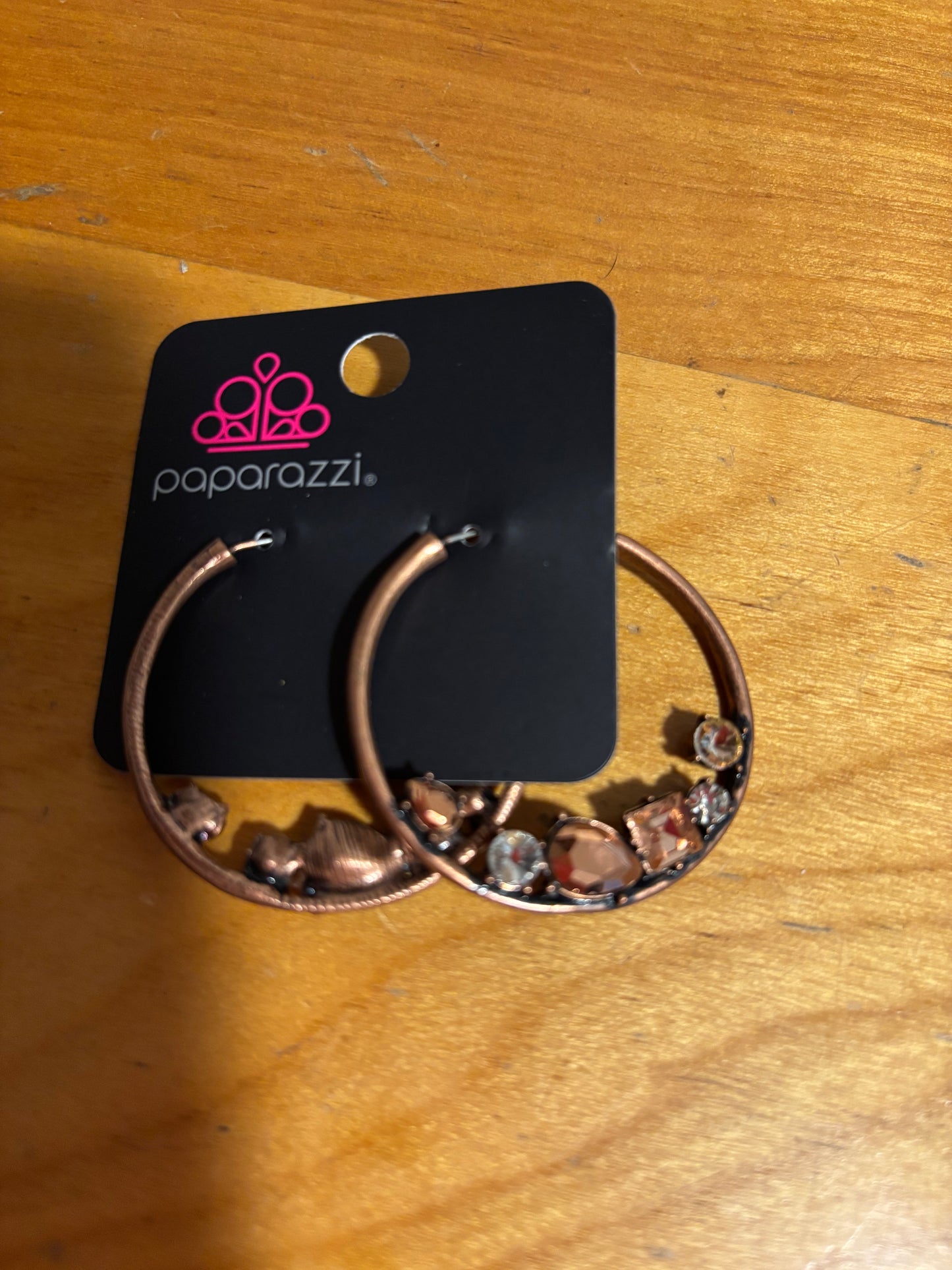 Earrings