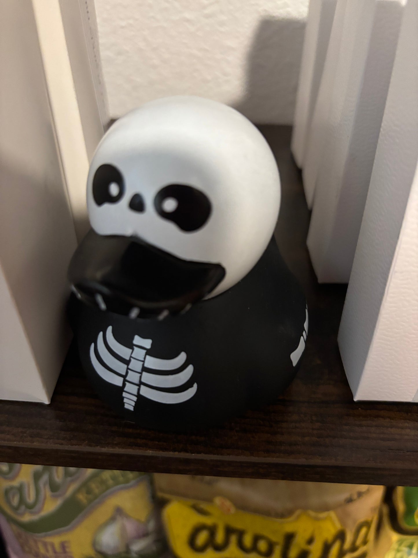 Skeleton duck