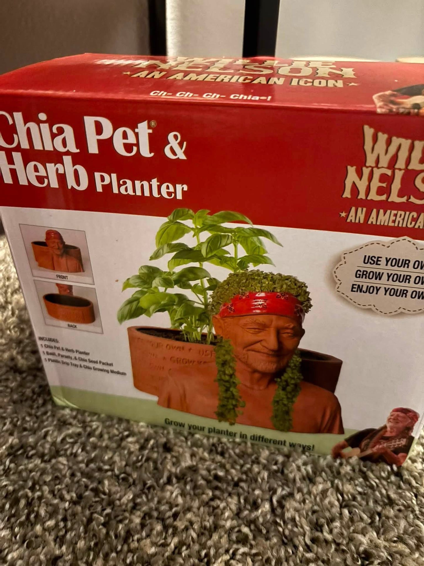 Willie Nelson chia pet