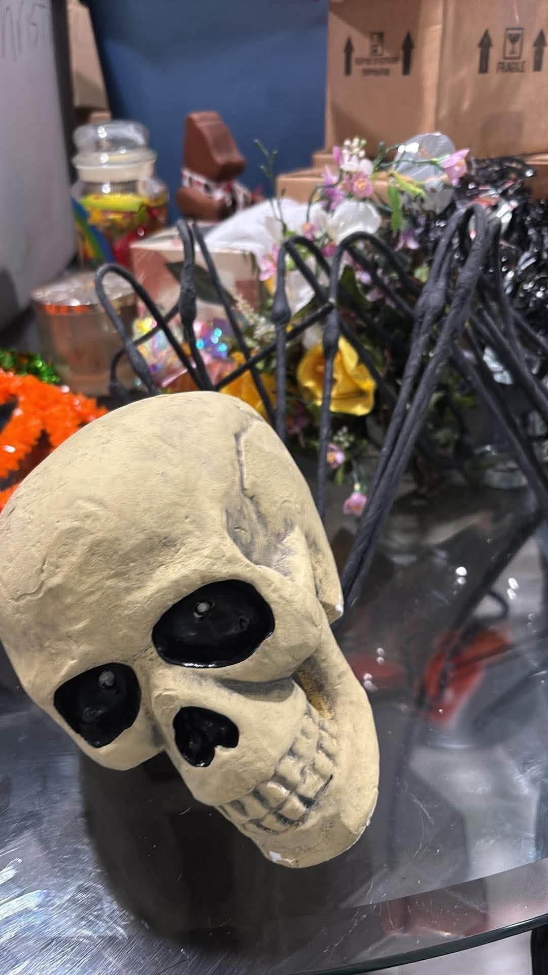 Skeleton spider