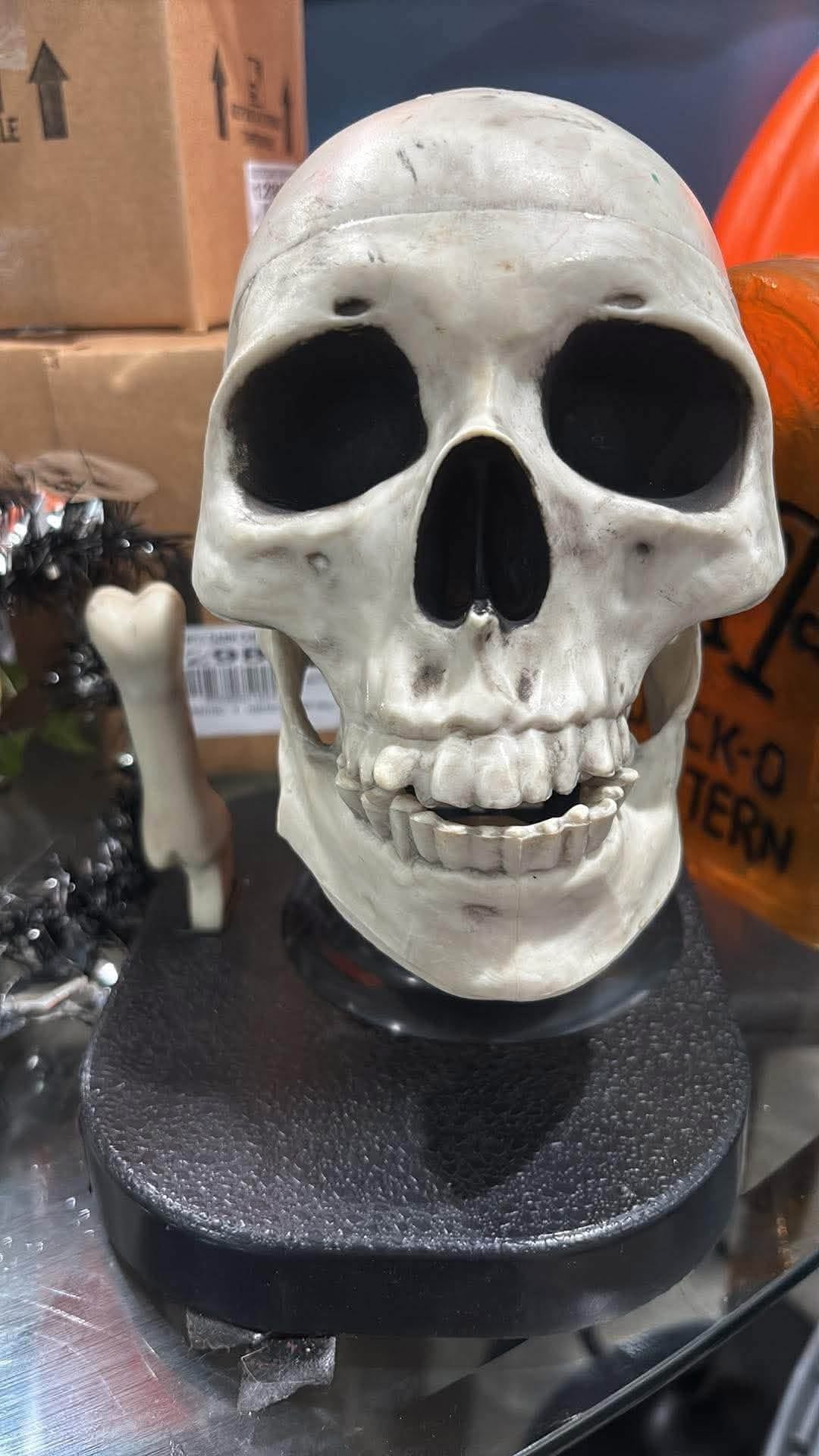 Skelton noise maker