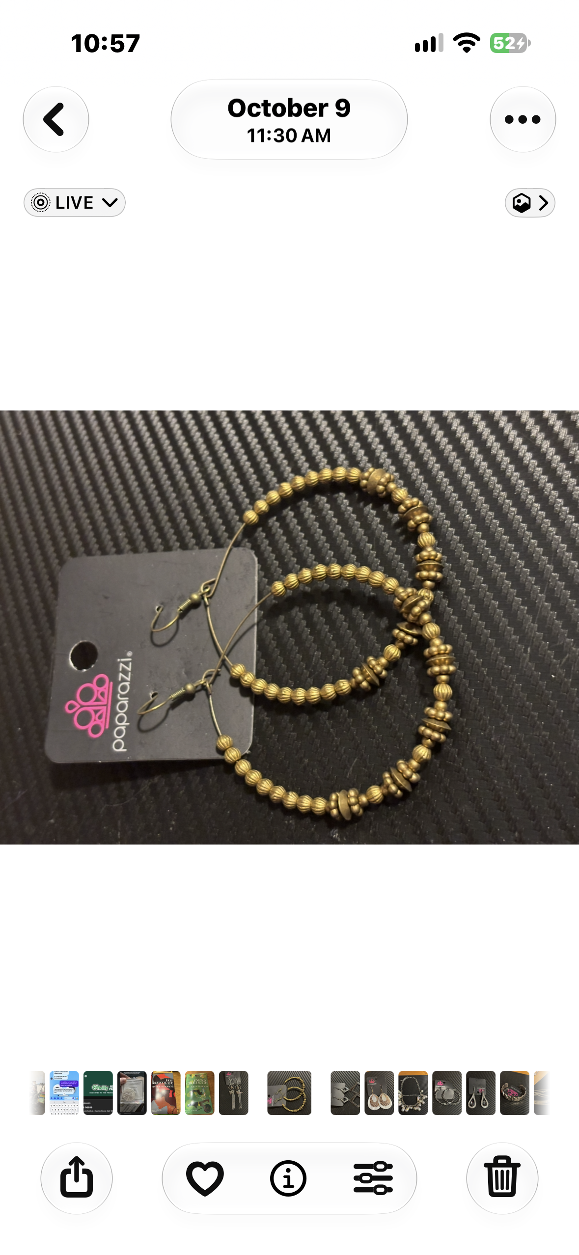 Earrings