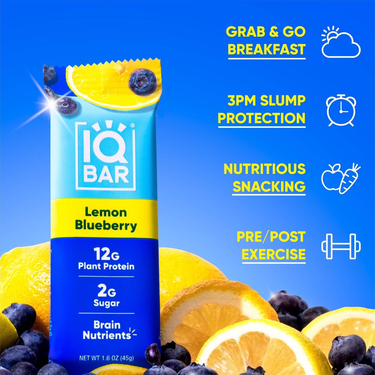 IQBAR Lemon Blueberry | Brain + Body Keto Protein Bars 1 each