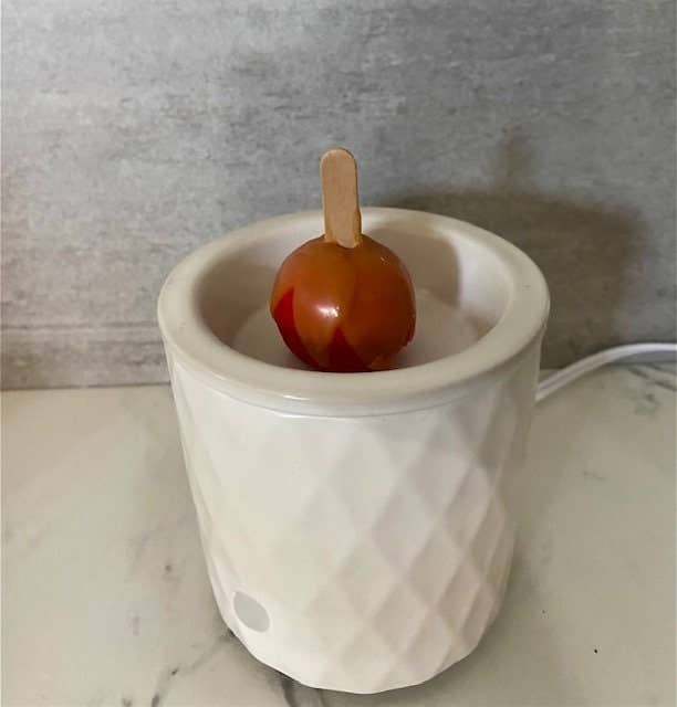 Sugar and Spice Custom Creations - Carmel Apple Wax Melts