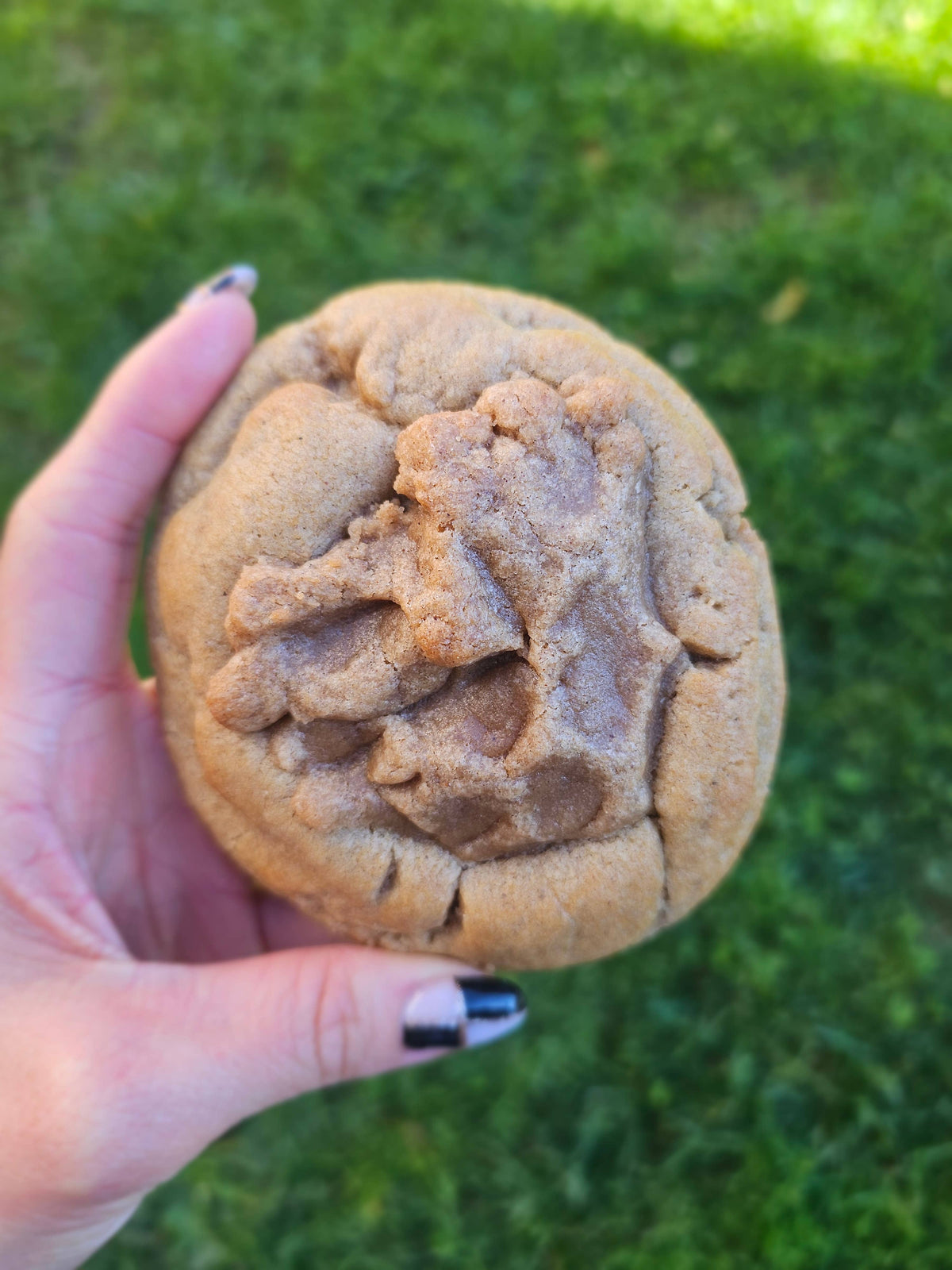My Big Fat Cookie - Pumpkin Crumb Cake Cookie