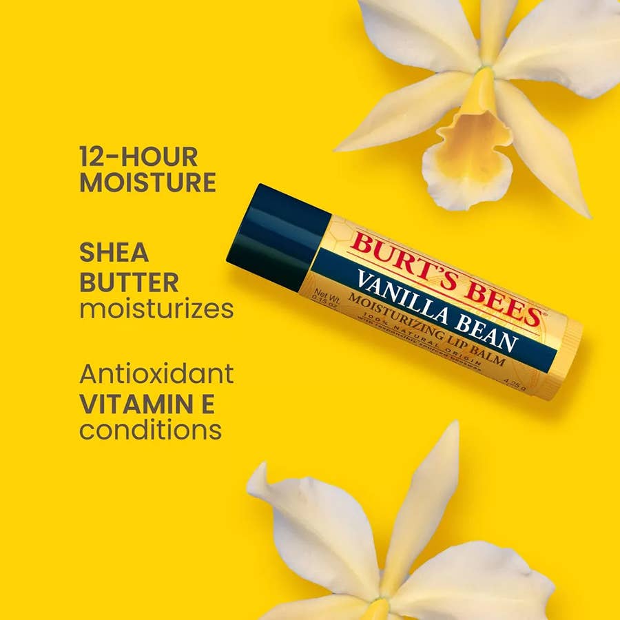 Burt's Bees - Vanilla Bean Lip Balm Display With Beeswax, 12 Count