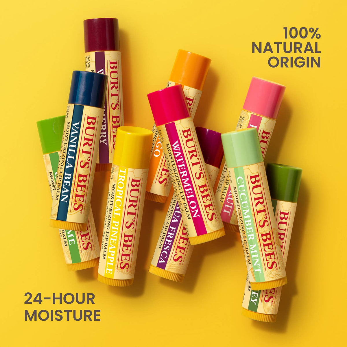 Burt's Bees - Watermelon Lip Balms With Beeswax, 12 Count Display