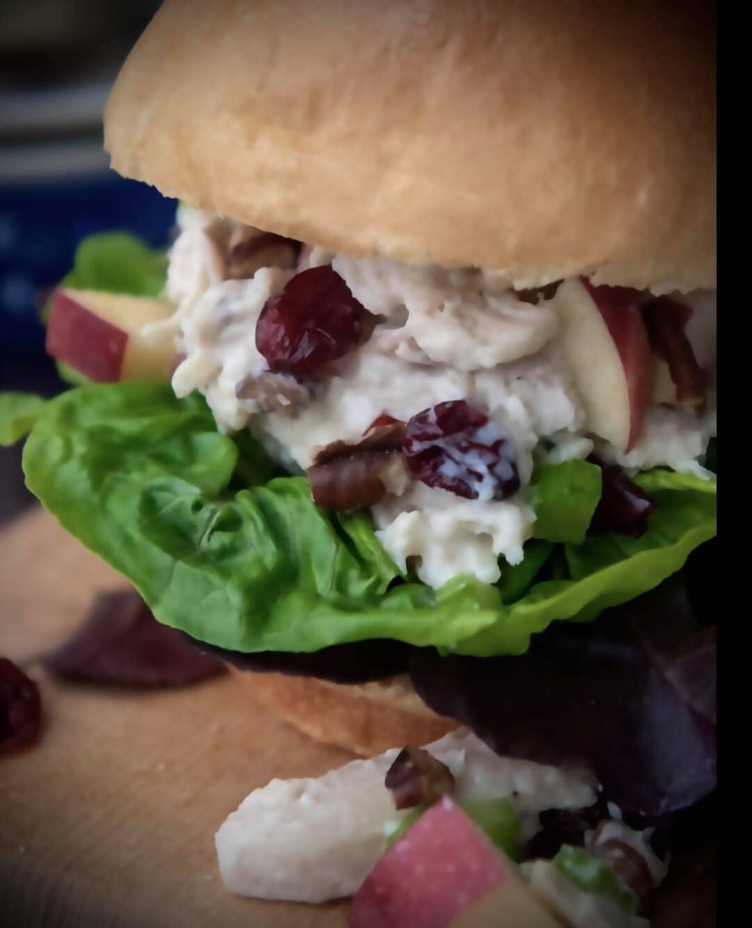 SnS Dips - Cranberry Apple Chicken Salad Mix