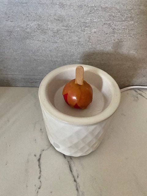 Sugar and Spice Custom Creations - Carmel Apple Wax Melts