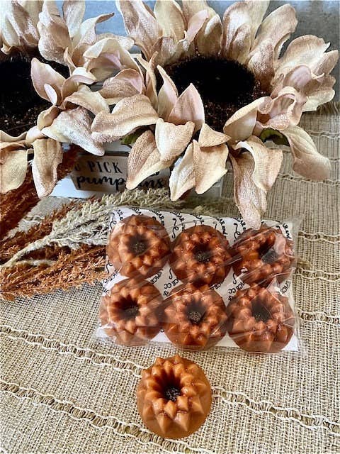 Sugar and Spice Custom Creations - Pumpkin Spice Cake Wax Melts / Pumpkin Caramel Swirl: Pumpkin Spice Cake