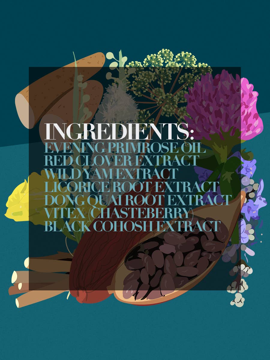 The Functional Chocolate Company - Hot Chocolate - Menopause Formula - Vanilla Crème Brûlée