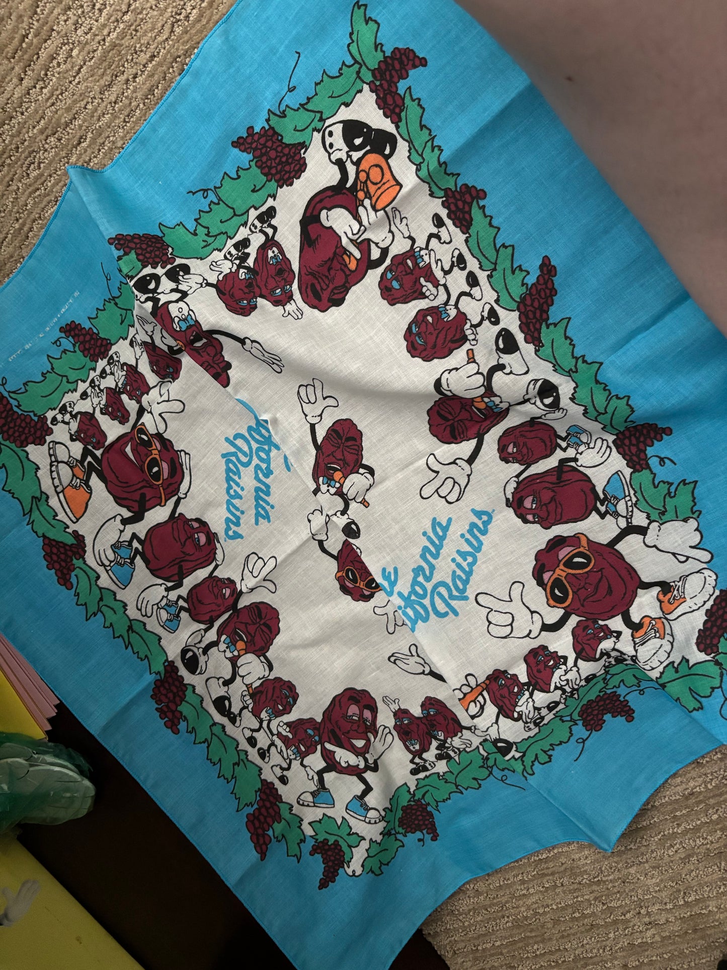 Raisins handkerchief
