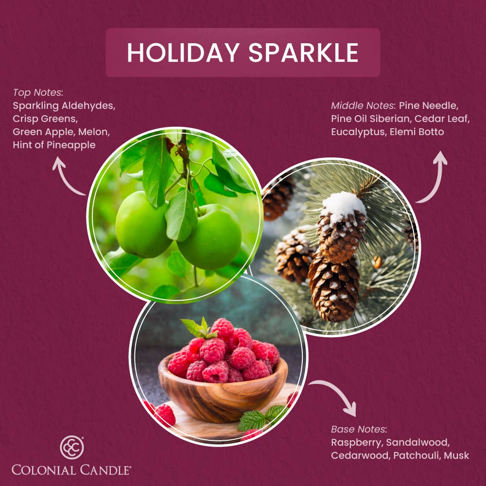 MVP Group International INC - Holiday Sparkle Scented Jar Candle, Soy Blend Wax, 14.5oz